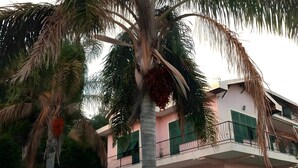 A multi-story building with balconies, a palm tree, and a parked car. - Apartment 'Giardino Miramare' with Sea View, Wi-Fi and Air Conditioning (Imperia)