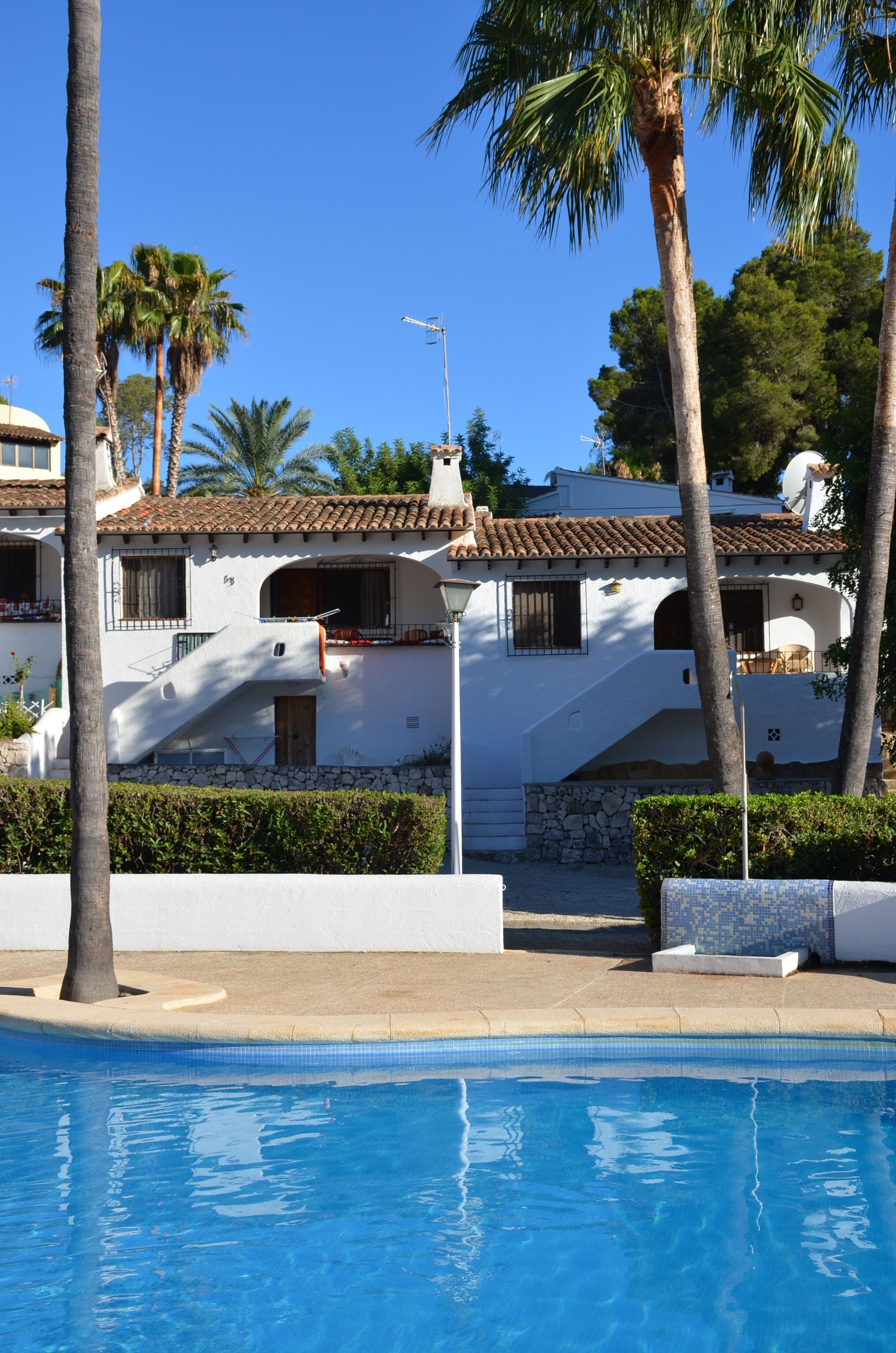 Une piscine entourée d’un bâtiment blanc, de palmiers et sous un ciel d’un bleu limpide.