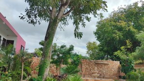 A garden with a stone wall, a fountain, and a tree. - Casa Yaxche (Valladolid)