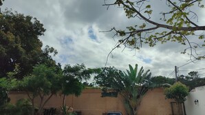 A courtyard with a car parked in the center, surrounded by trees and a white wall. - Casa Yaxche (Valladolid)