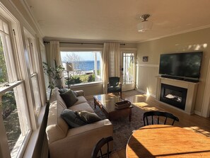 TV connectée, cheminée, lecteur de DVD, livres