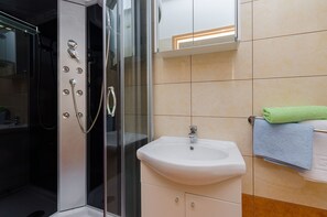 Shower, hair dryer, towels - Mediterranean stone house with large terrace, outdoor shower, private pool, baby cot, washing machine (Grižane)