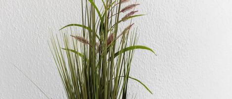 Una planta en maceta sobre una superficie blanca, frente a una pared con textura.