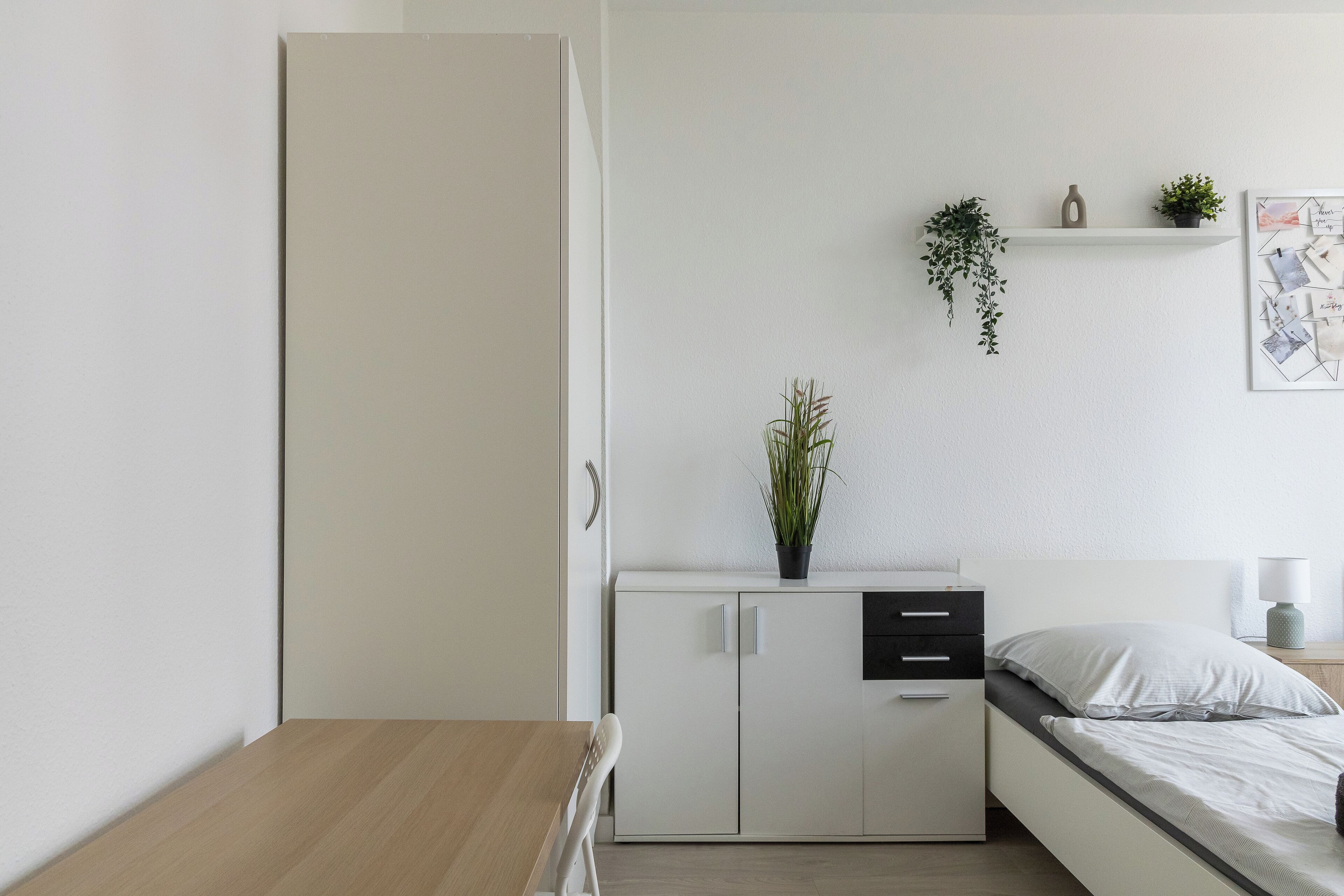 Un dormitorio minimalista con una cama, un mueble pequeño, una estantería con plantas y un cuadro colgado en la pared.