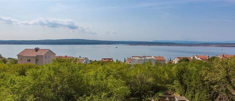A coastal residential area with houses overlooking a calm sea, surrounded by lush greenery.
