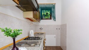 A small kitchen with a gas stove, a coffee maker, and a vase with green plants. - Nostalgic apartment only 500 meters to the beach with private terrace, sea view, barbecue (Dramalj)