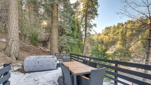 Eine Terrasse mit Tisch und Stühlen, umgeben von hohen Bäumen und verschneitem Boden.