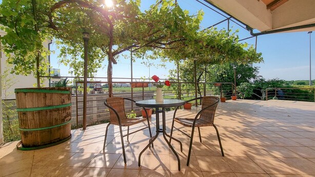 An outdoor patio with a round table and wicker chairs, surrounded by potted plants and a wooden barrel.