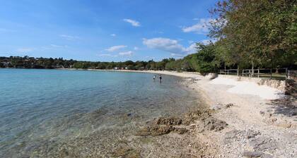 Dog-friendly vacation home just 500 meters from the beach with sea views and a great private garden