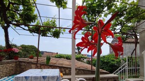 Un jardín en la azotea con plantas en macetas y una mesa preparada para comer.