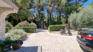 Property grounds - Charming apartment just 350 meters from the beach, surrounded by Mediterranean plants (Novigrad)