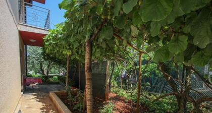 Appartement économique à seulement 400 mÚtres de la plage avec terrasse, barbecue, WiFi