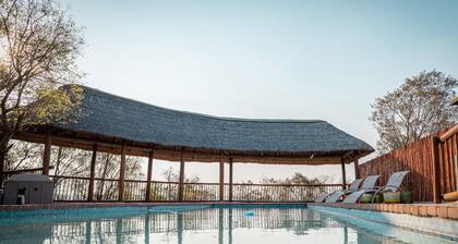 Room in Guest Room - Mmakuba Private Game Lodge, Deluxe Chalet 8C