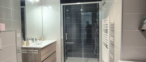Shower, towels, toilet paper