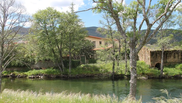 A riverside view with a building, trees, and a stone bridge.