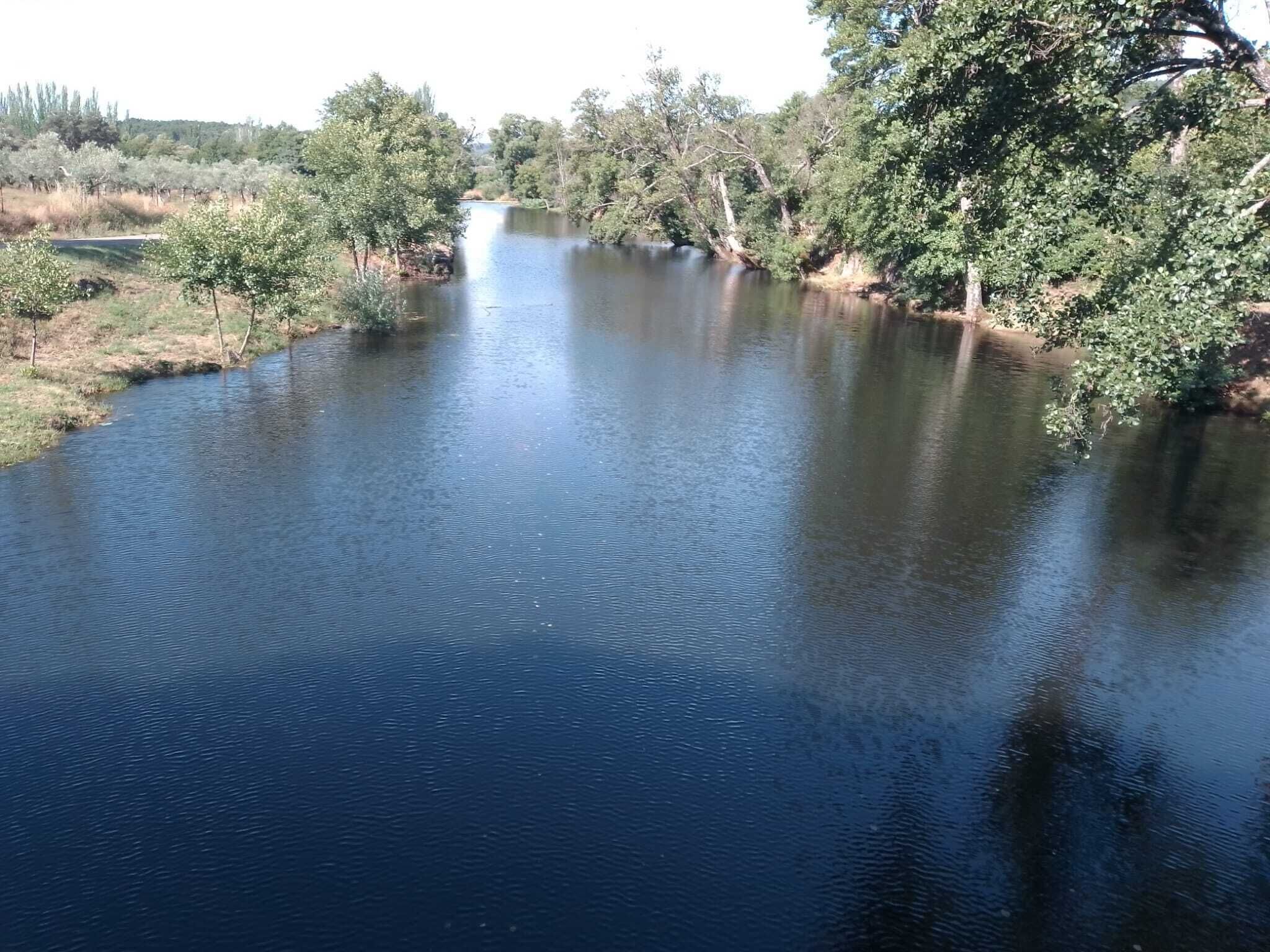 A river surrounded by trees and vegetation.
