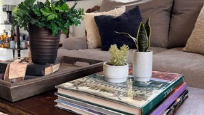 A cozy living room with a wooden coffee table, a potted plant, a small succulent, and a stack of books.