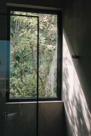 Shower, hair dryer, slippers, towels - Entremontes (San Miguel de Allende)
