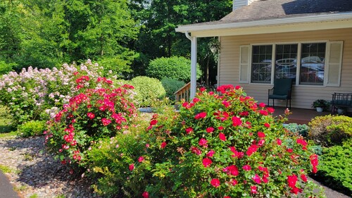 Edna's Place at Meadow Hill