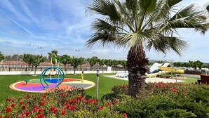 A playground with colorful equipment, a palm tree, and red flowers in a park setting.