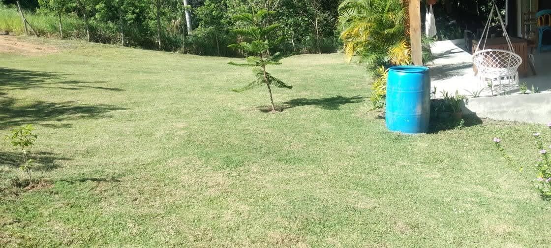 Bungalow Confort | Vista al jardín