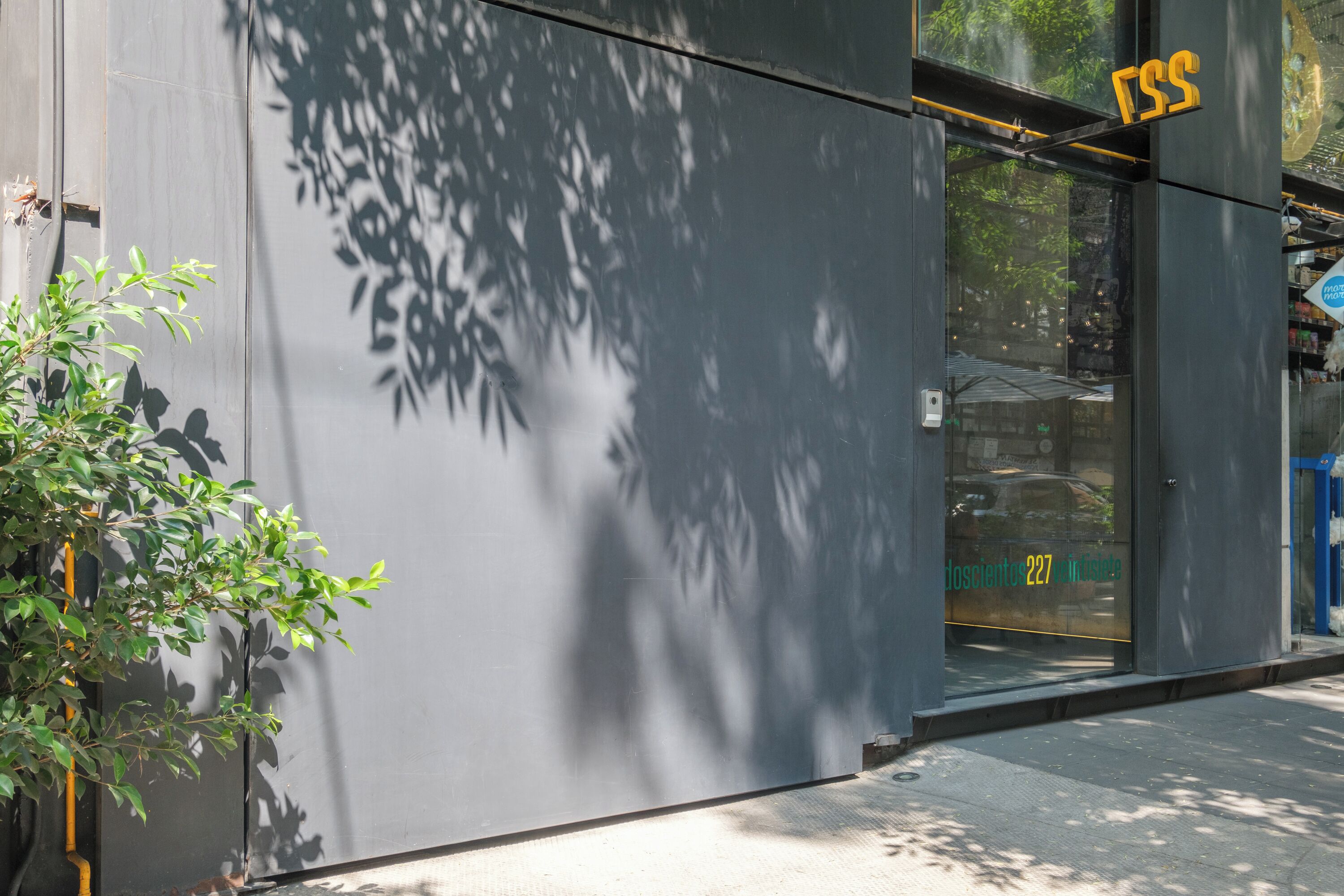A modern building facade with a glass entrance, a visible door number, and a small tree to the left.