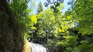 Une cascade se jetant dans un bassin d’eau claire, le tout entouré d’une végétation luxuriante.