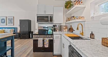 Pet friendly downtown studio!