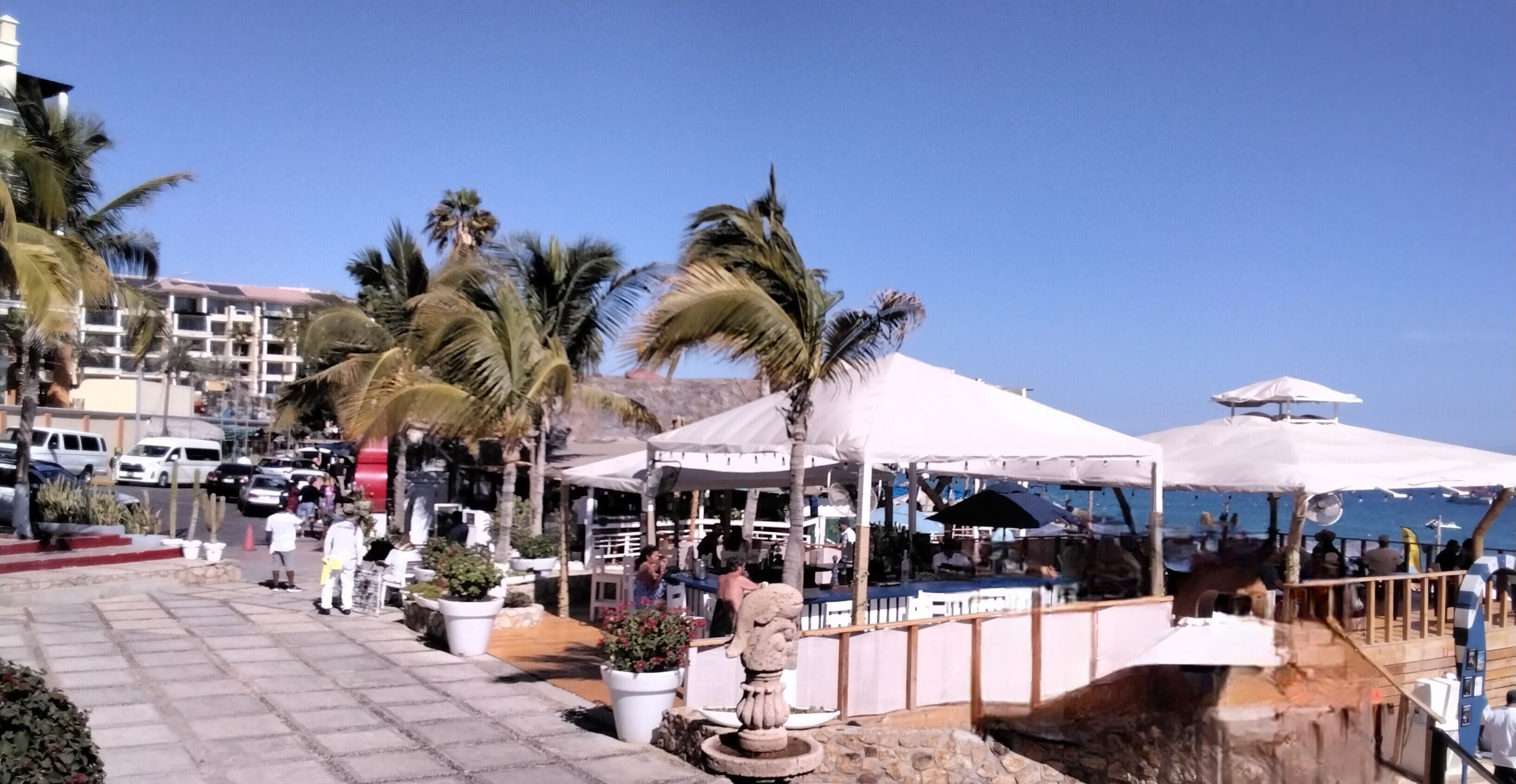A beachfront area with outdoor seating, palm trees, and a white building in the background.