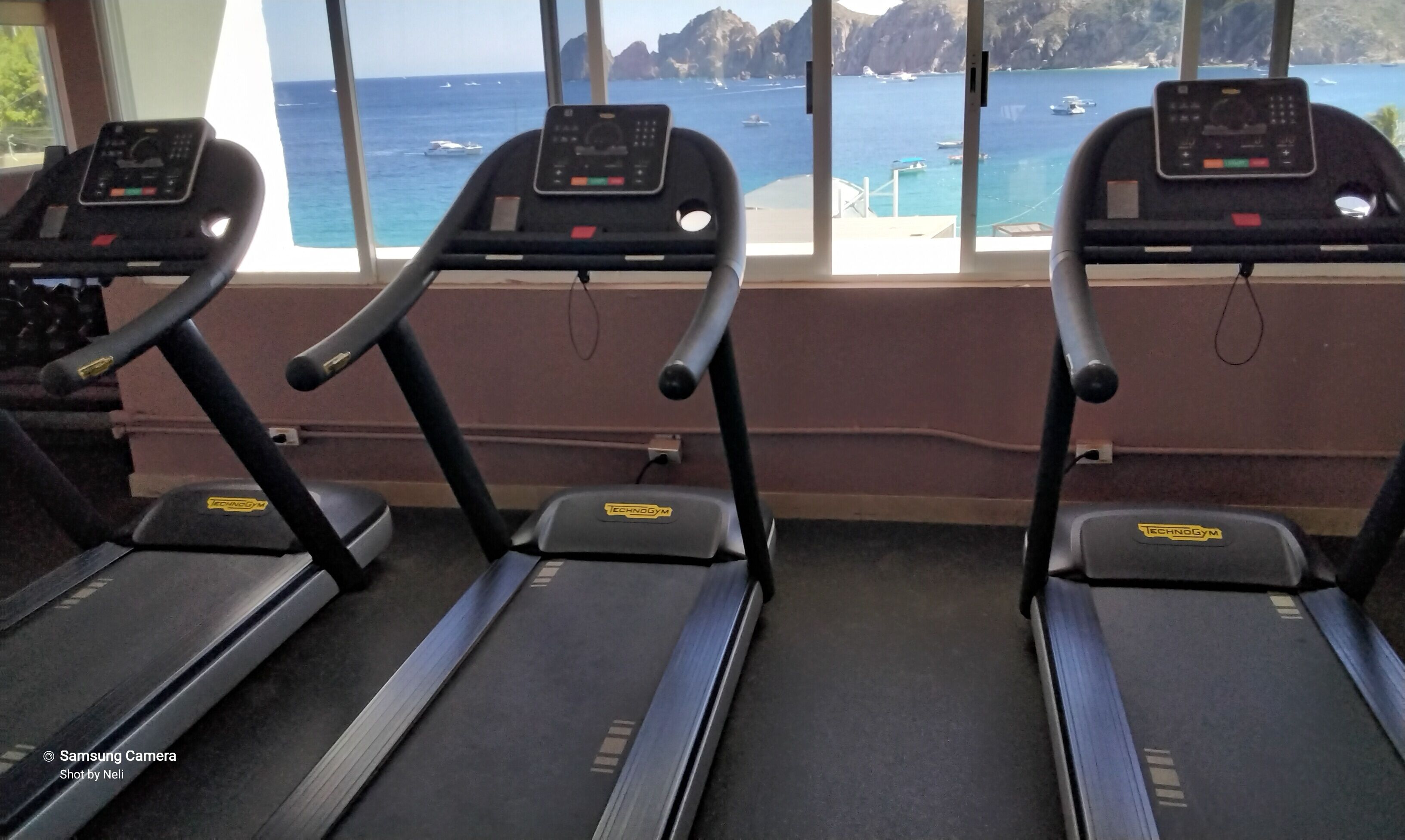 Three treadmill machines in a gym with a view of the sea and boats through large windows.