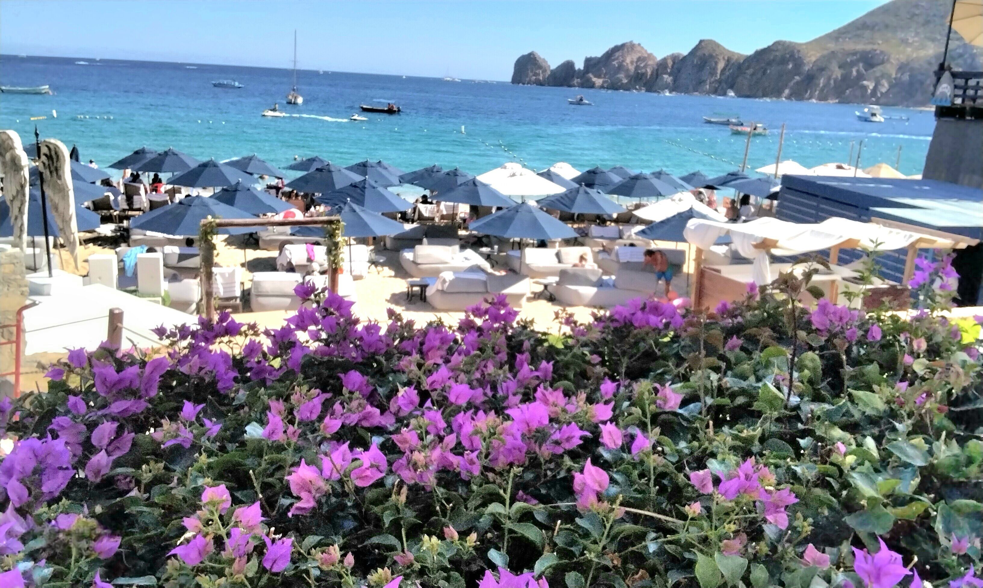 Private beach, white sand, beach cabanas, sun loungers