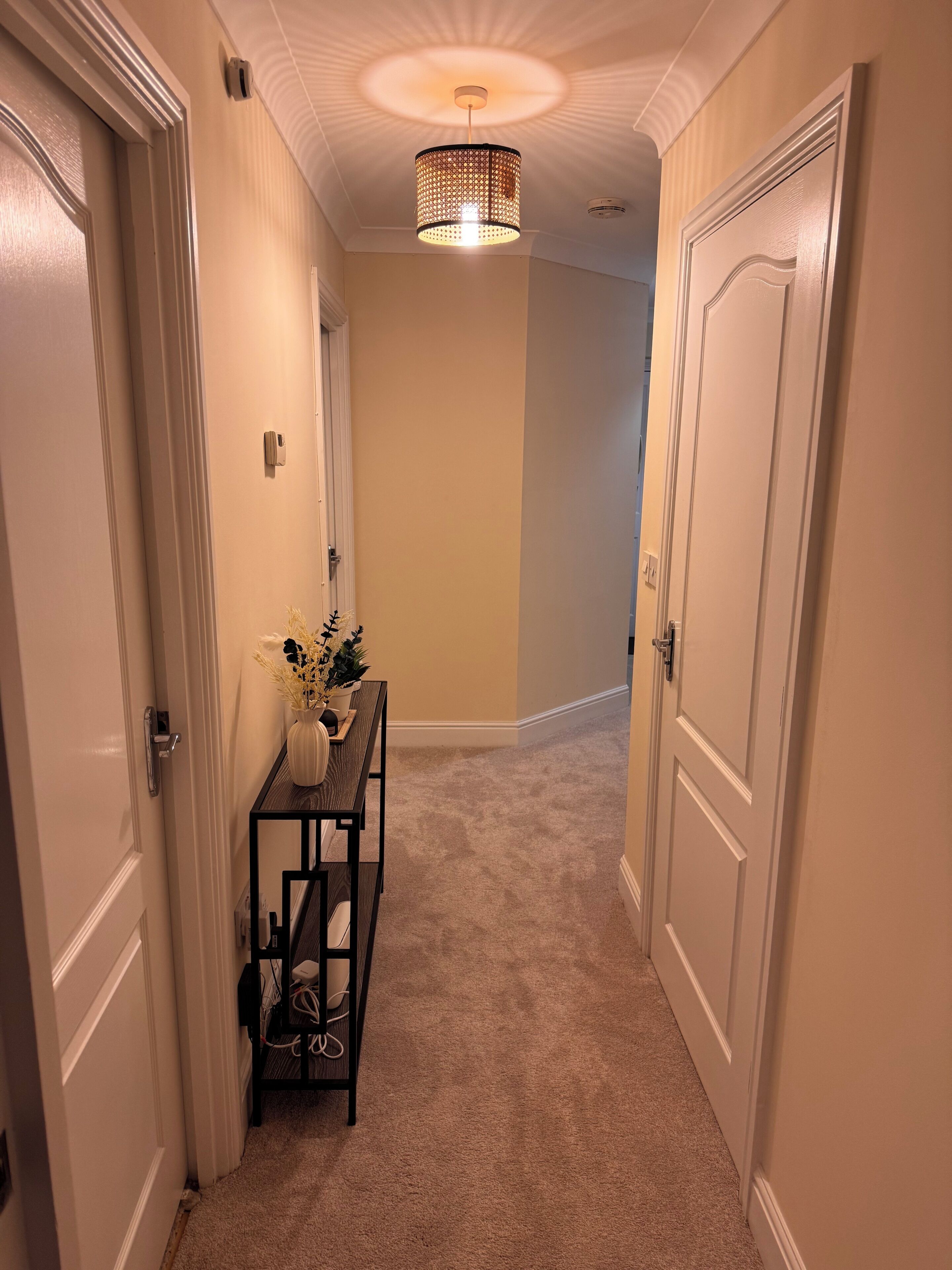A hallway with carpeted floors, a ceiling light fixture, and a small table with a vase and plant.