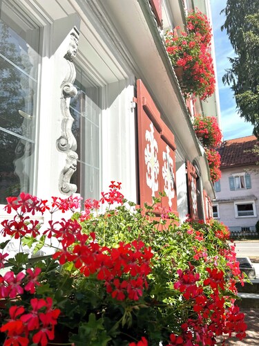 Ferienwohnung "Wolkenfrei" nahe Bodensee mit Pool und Sauna