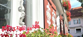 Vacation apartment "Wolkenfrei" near Lake Constance with pool and sauna