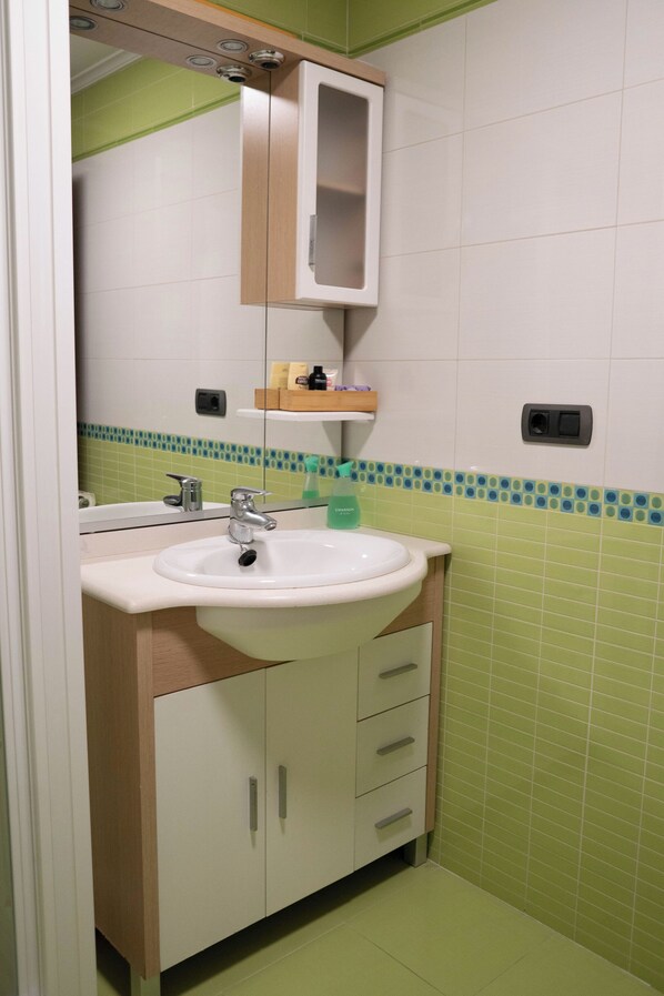 Shower, hair dryer, bidet, towels