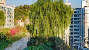 Un jardin agrémenté d’un saule pleureur, d’un mur de pierres et de diverses espèces de plantes.