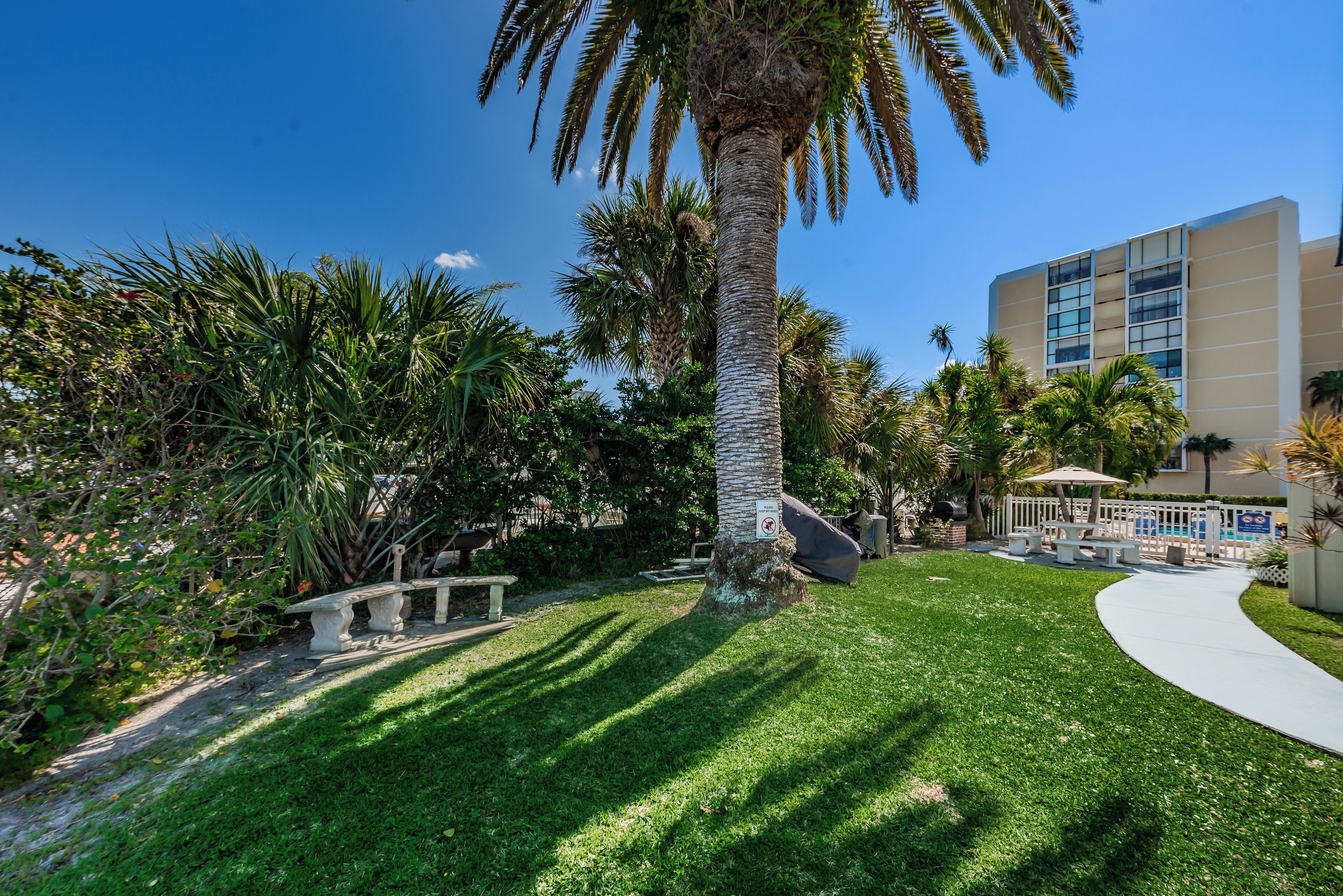 A well-maintained outdoor area with a palm tree, a pathway, and a building in the background.