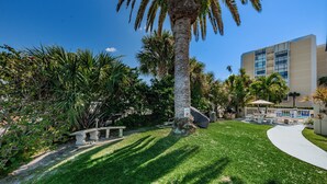 A well-maintained outdoor area with a palm tree, a pathway, and a building in the background. - Charming and Spacious Studio in Delightful Clearwater Beach (Clearwater Beach)