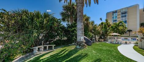 A well-maintained outdoor area with a palm tree, a pathway, and a building in the background.