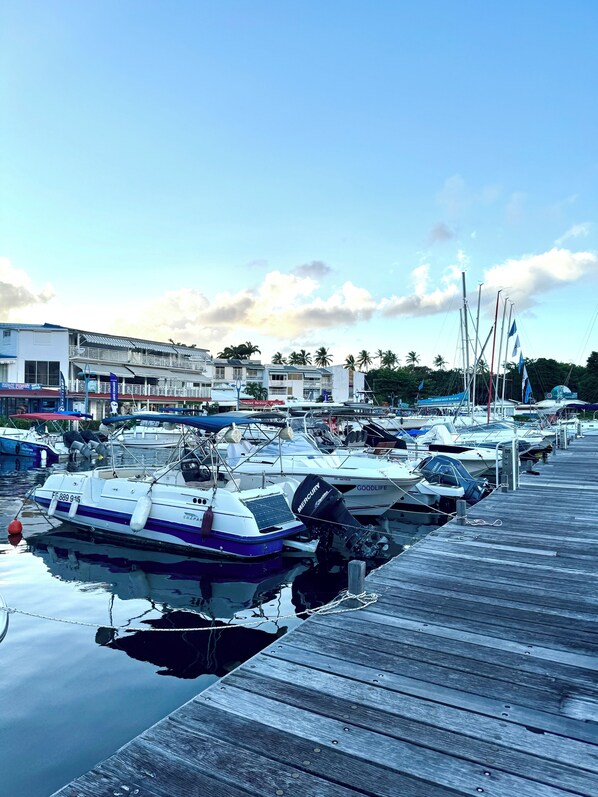 Marina