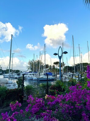 A marina with multiple sailboats docked, surrounded by lush greenery and vibrant purple flowers. - Horizon Cozy (Les Trois-Îlets)