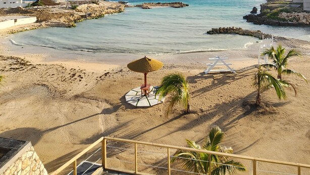 Una playa con vista despejada al mar, una zona arenosa con una palmera y un quiosco de paja.