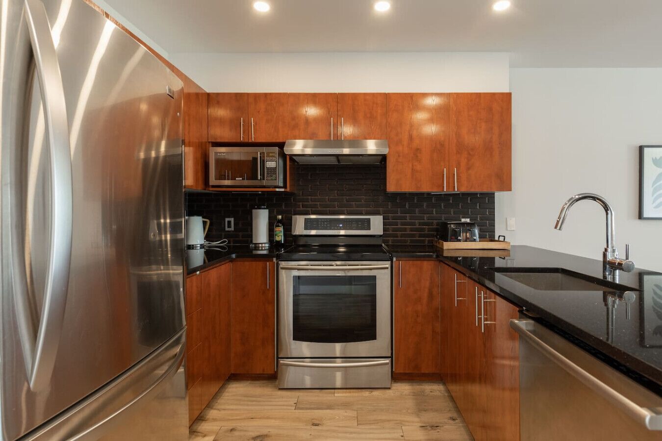 Fridge, microwave, stovetop, dishwasher