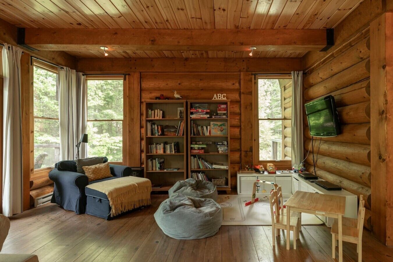 TV, fireplace, stereo