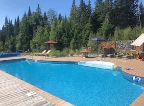 Ein Schwimmbecken mit Liegestühlen und Sonnenschirmen, umgeben von Bäumen.