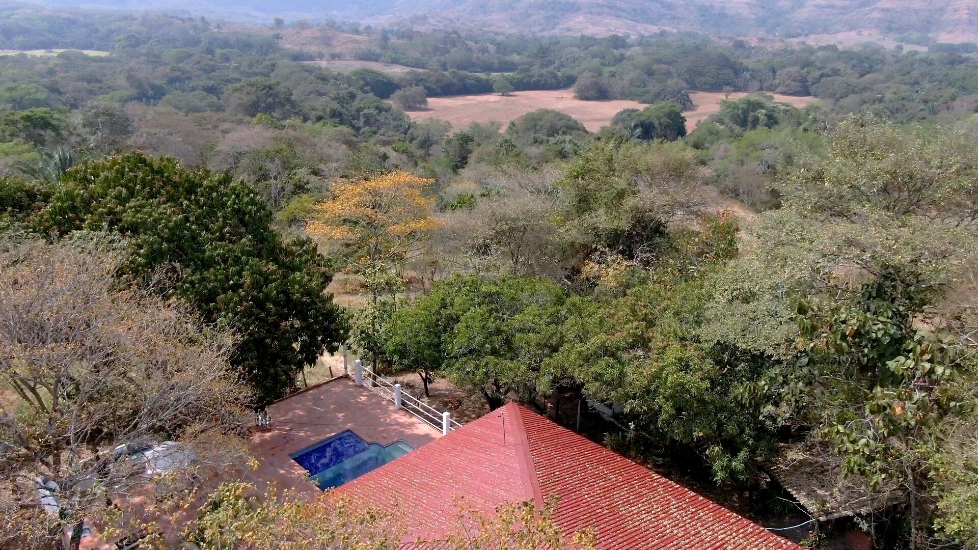 A house with a red roof, surrounded by dense vegetation and trees.