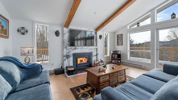 TV connectée, cheminée, jeux vidéo