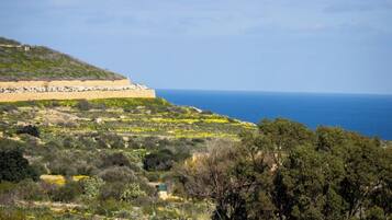 A coastal landscape with a stone wall, greenery, and the sea in the background.
