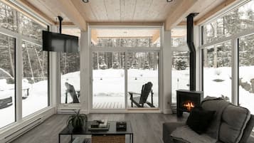 TV, fireplace, stereo