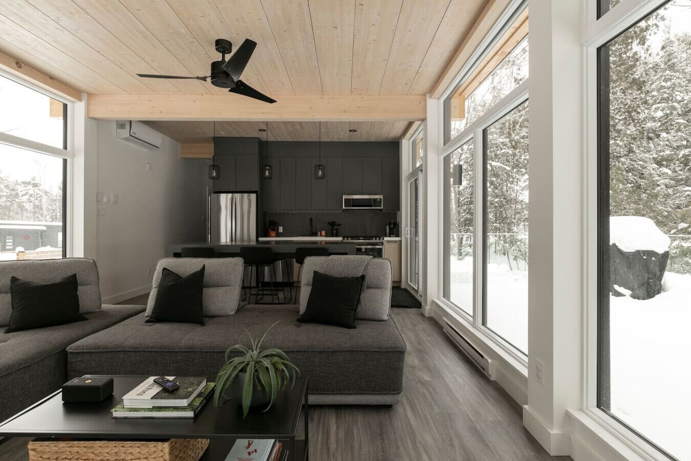 TV, fireplace, stereo